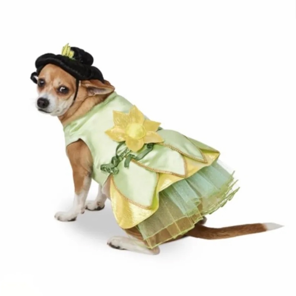 ✅Disney Tails princess Tiana Pet Costume sz XL